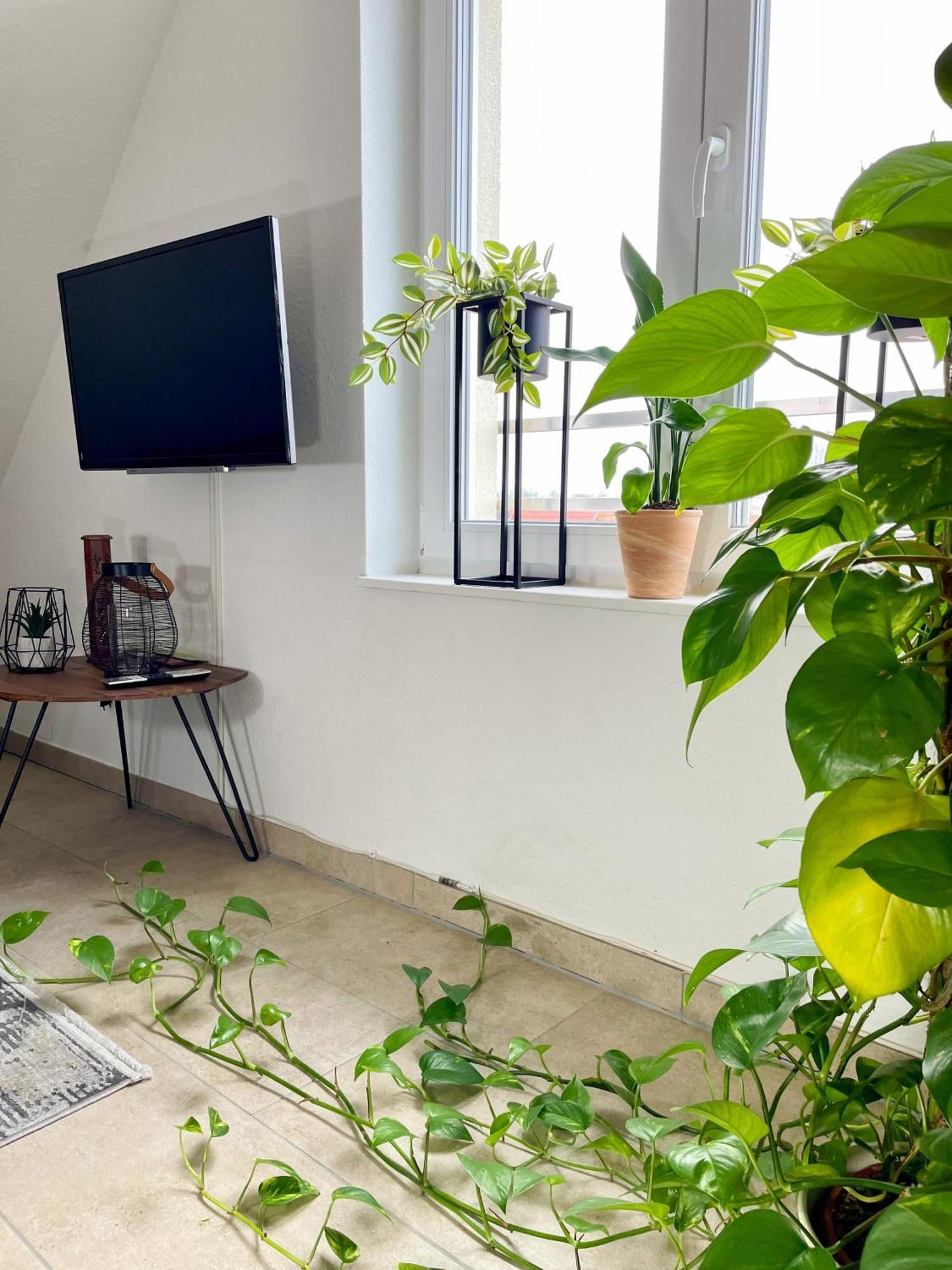 Ahaus: Stadtoase Mit Terrasse & Privater Garage Luaran gambar