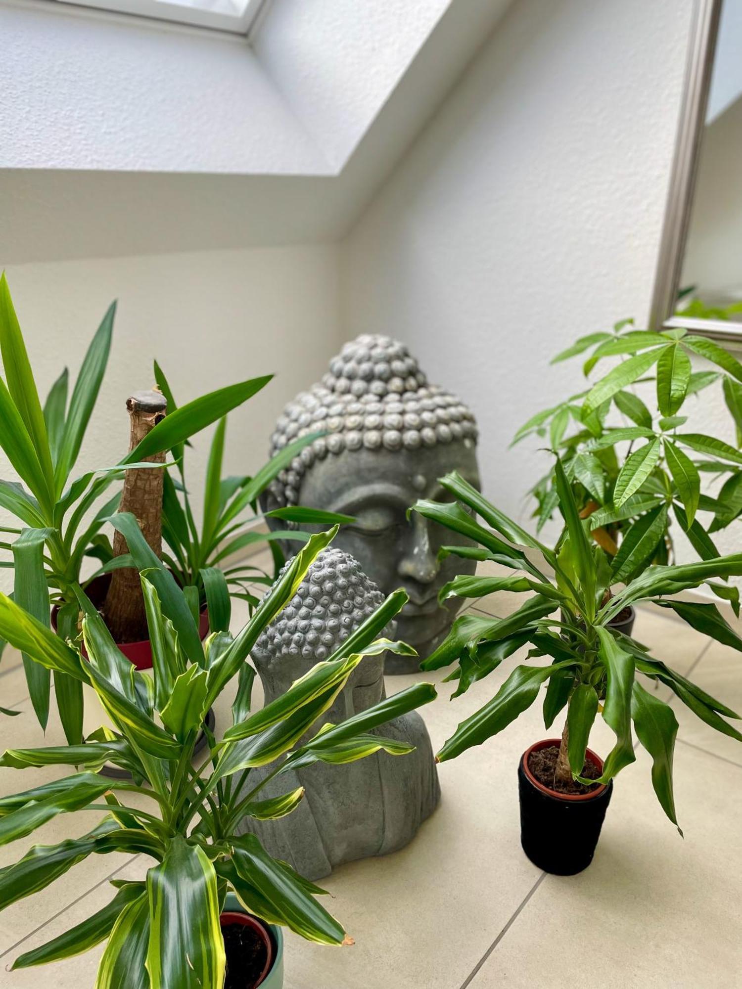 Ahaus: Stadtoase Mit Terrasse & Privater Garage Luaran gambar